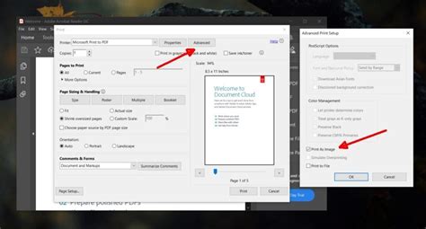 Can't print from Adobe Reader .